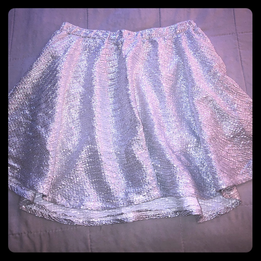 NWOT Silver Metallic Skirt